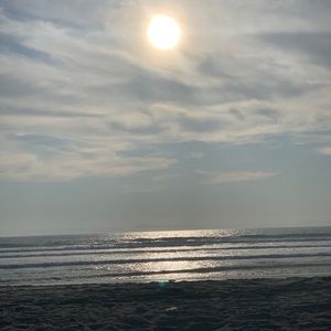 Meet your Posher, Roshni